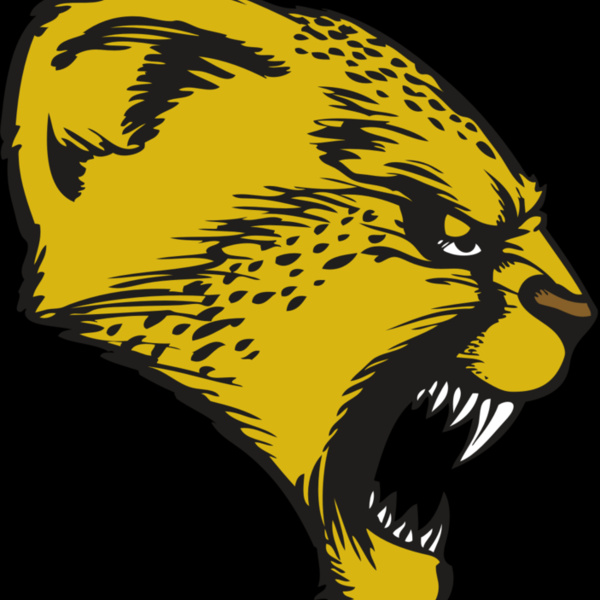 BAW CHEETAH 13 RC Thumbnail