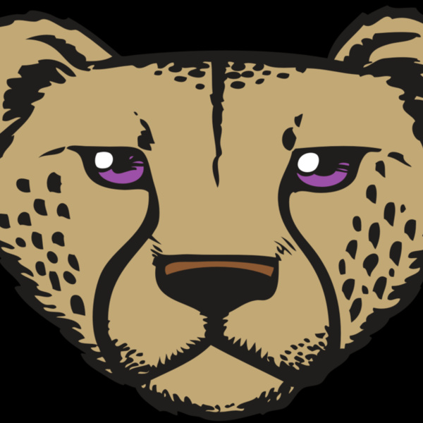 BAW CHEETAH 14 RC Thumbnail