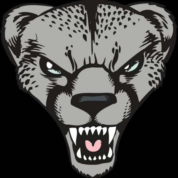 BAW CHEETAH 15 RC Thumbnail