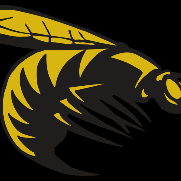 AR BEE 49 RC Thumbnail