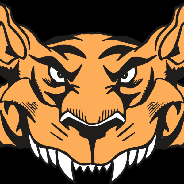 AR5 Tiger 07 RQC Thumbnail