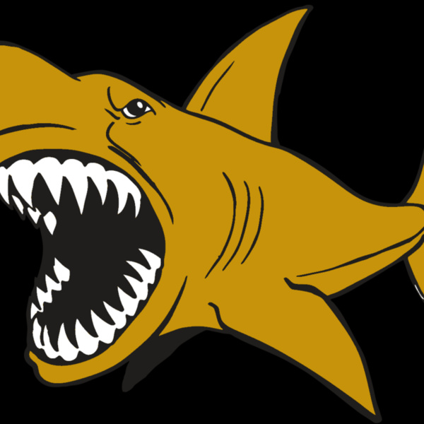 AR  SHARK 21 RC Thumbnail