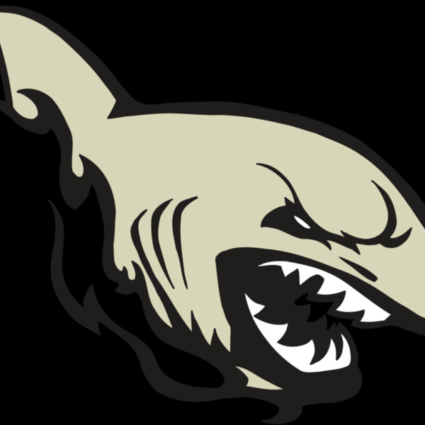AR5 Shark 08 RQC Thumbnail