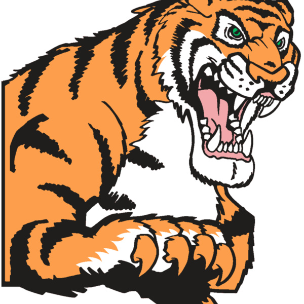 AR TIGER 10 RC Thumbnail