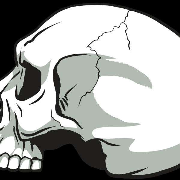 AR24 SKULL 11 RQC Thumbnail