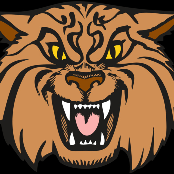 BAW WILDCAT 04 RC Thumbnail