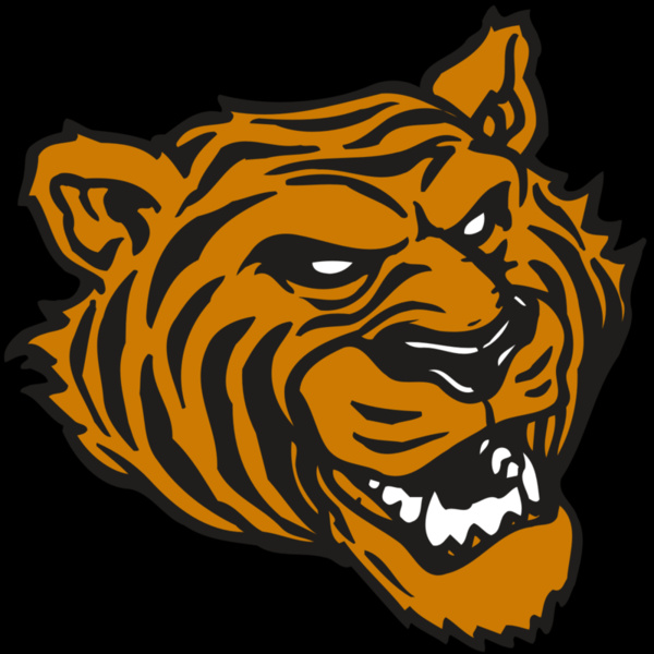 AR TIGER 43 RC Thumbnail