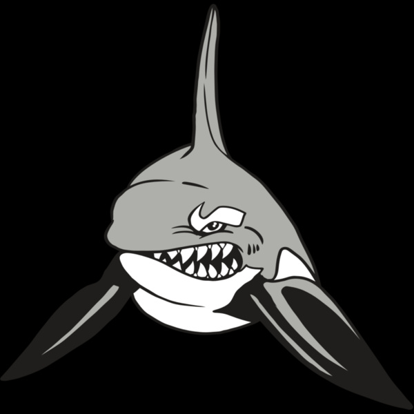 AR19 ORCA 03 RQC Thumbnail