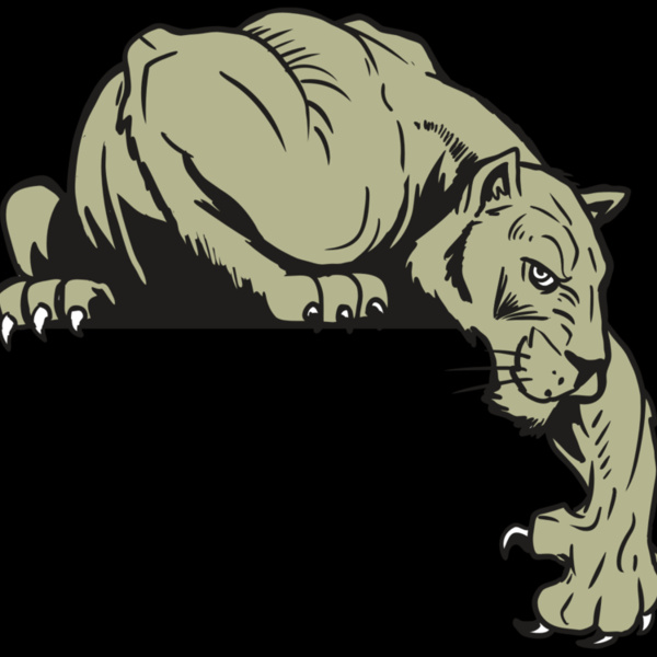 AR10 PANTHER 06 RQC Thumbnail