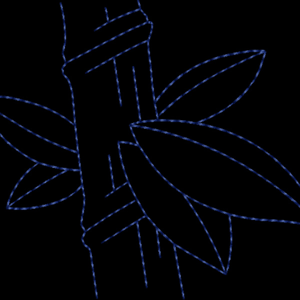 NZ519 Thumbnail