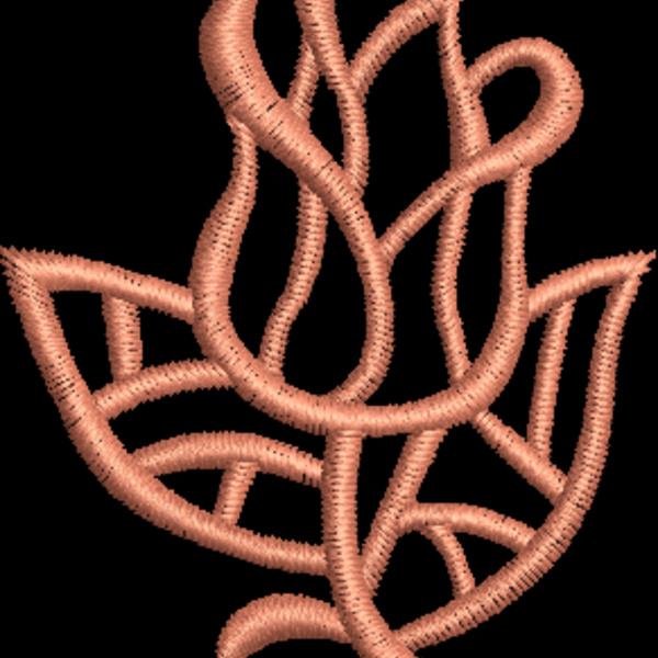 NZ365 Thumbnail