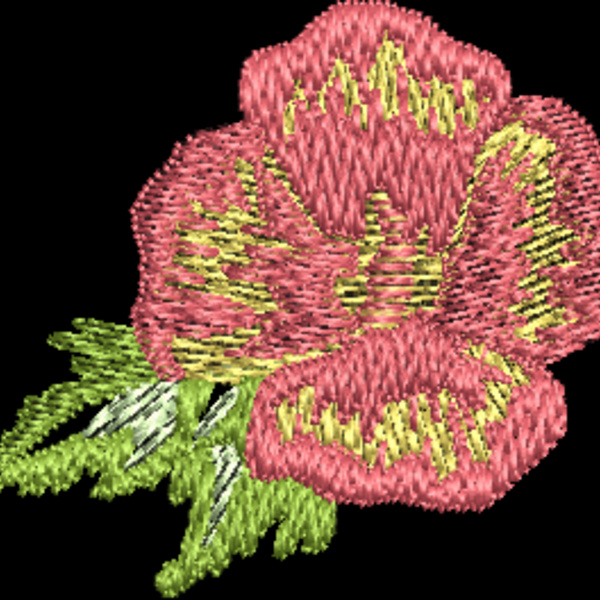 330595 Thumbnail