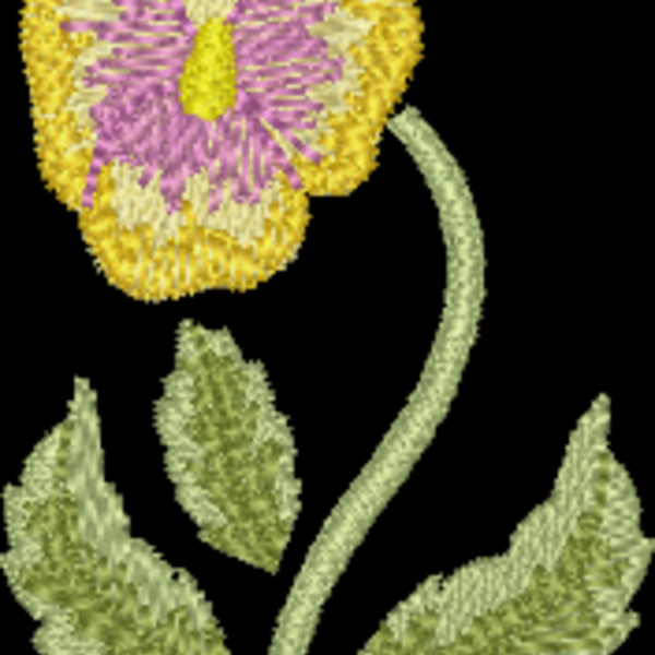 FP181 Thumbnail
