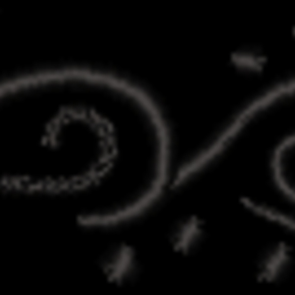 NZ755 Thumbnail